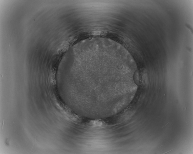 X0000102230272200808221314