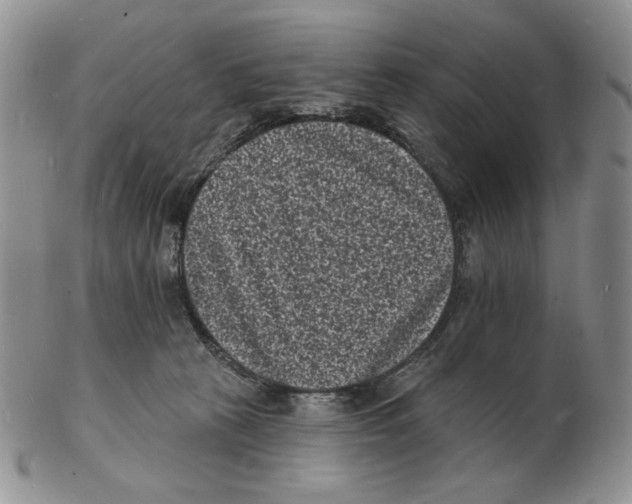 X0000102230273200808221315