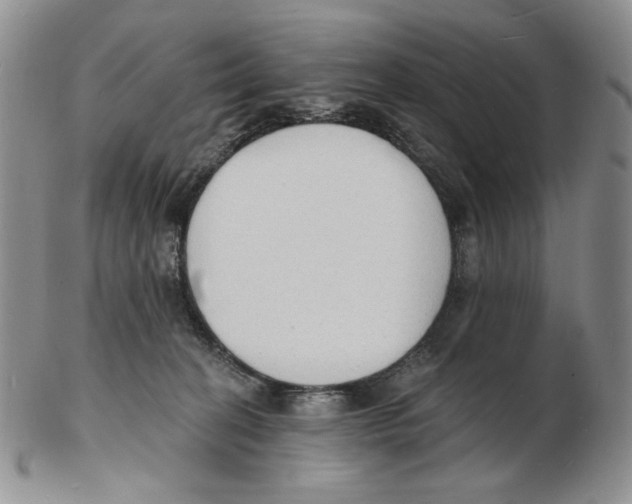 X0000102230274200808221315