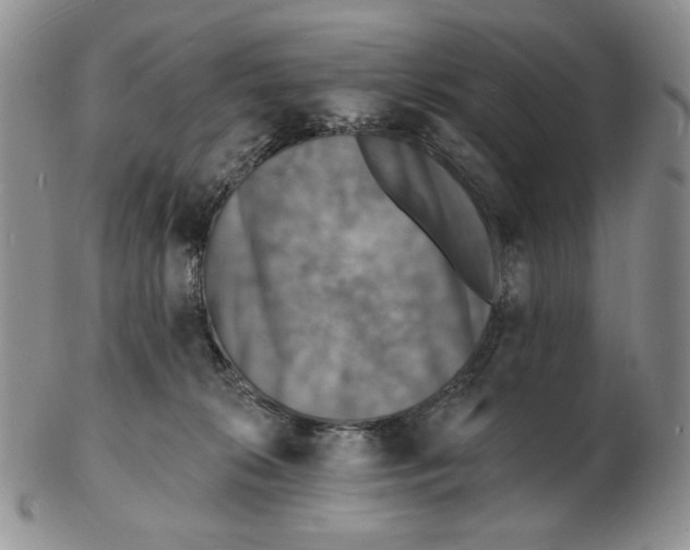 X0000102230276200808221315