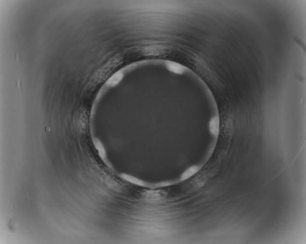 X0000102230277200808221315