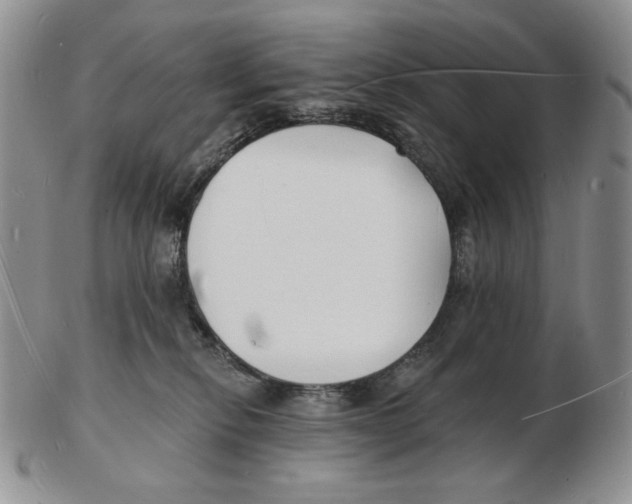 X0000102230278200808221315