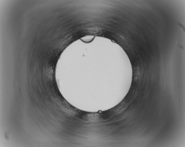 X0000102230279200808221315