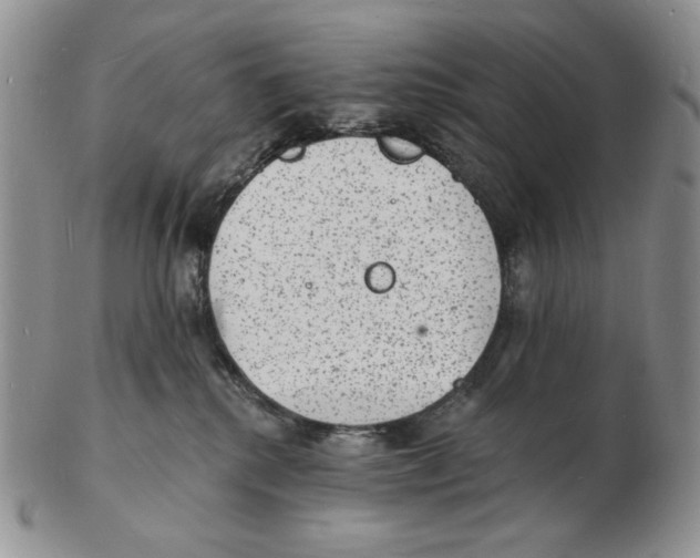 X0000102230280200808221315