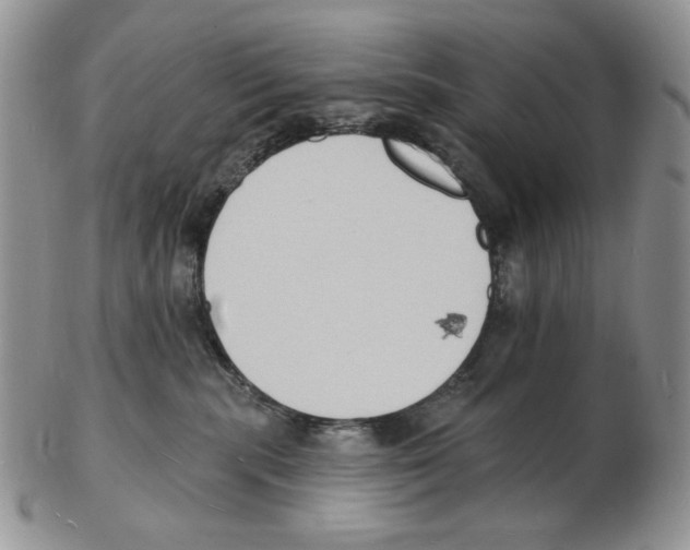 X0000102230283200808221315