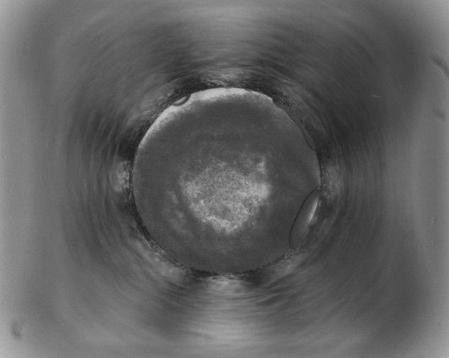X0000102230284200808221315