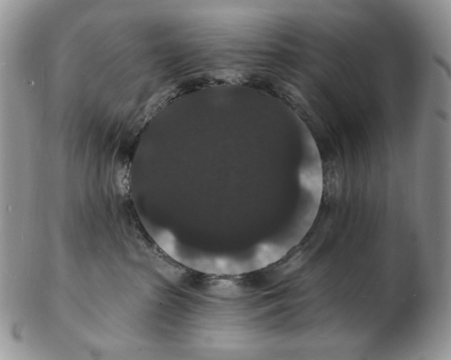 X0000102230285200808221315