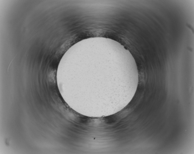 X0000102230286200808221315