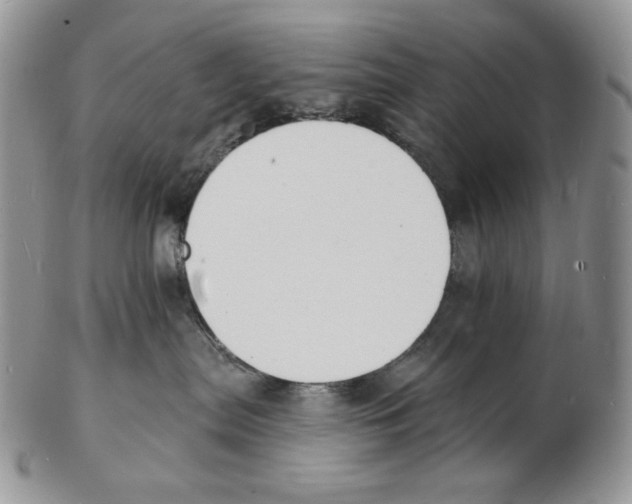 X0000102230287200808221315