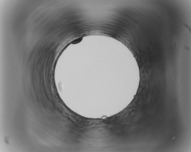 X0000102230289200808221314