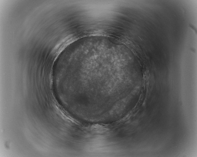 X0000102230290200808221314