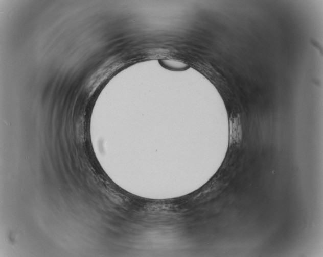 X0000102230291200808221314