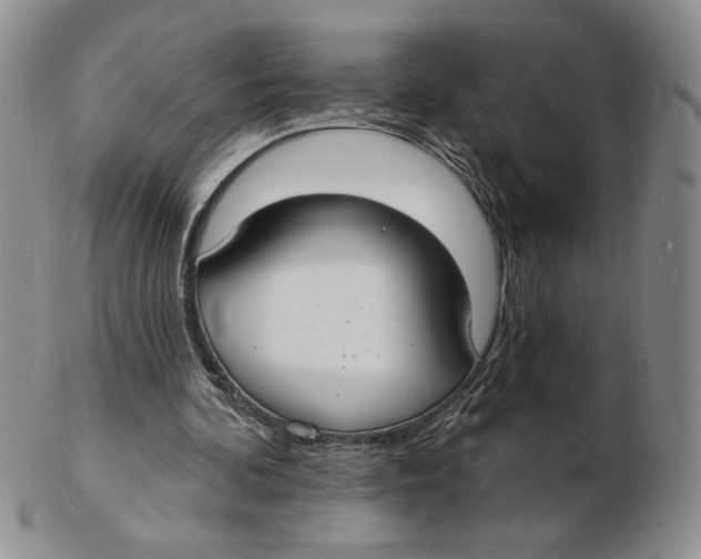 X0000102230292200808221314