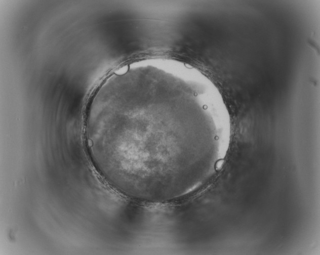 X0000102230293200808221314