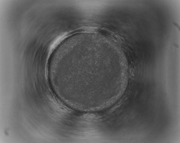 X0000102230294200808221314