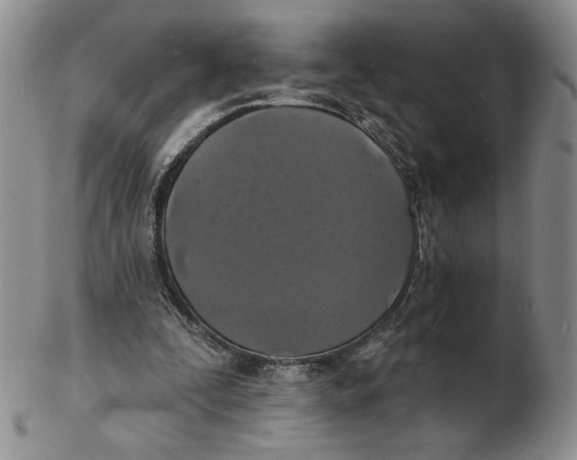 X0000102230295200808221314