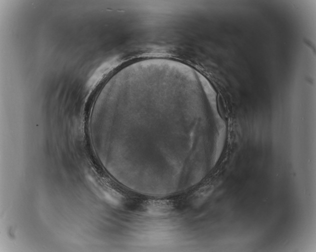 X0000102230296200808221314