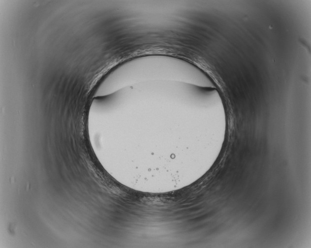 X0000102230297200808221314