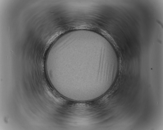 X0000102230298200808221314