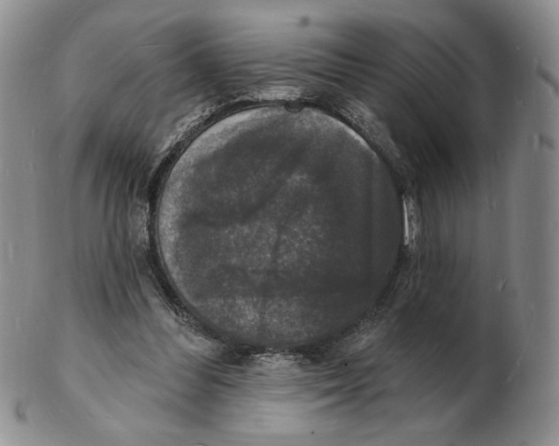 X0000102230300200808221314