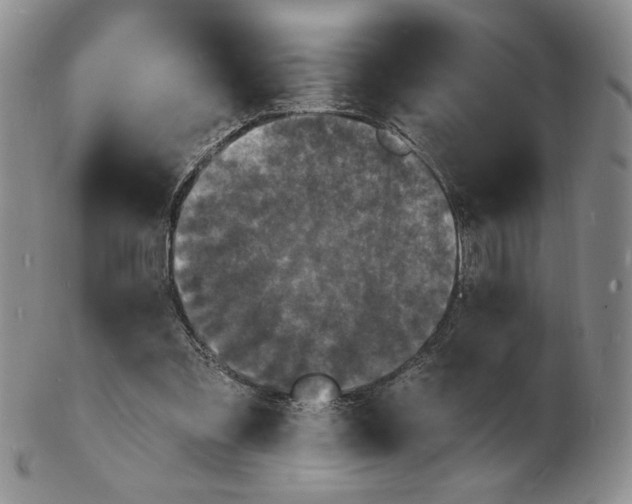 X0000102230301200808221314