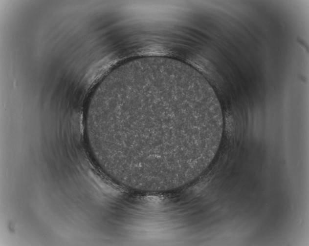 X0000102230302200808221314