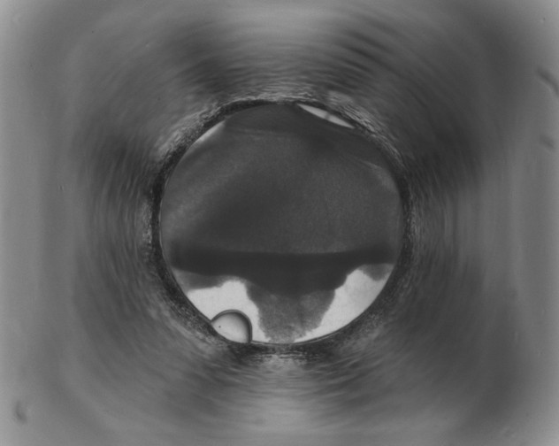 X0000102230303200808221314