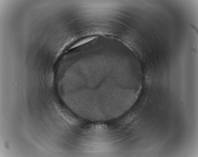 X0000102230304200808221314