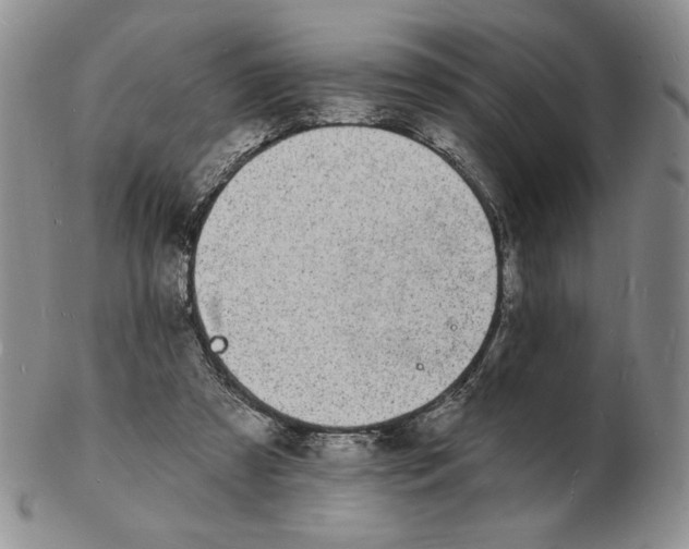 X0000102230305200808221314