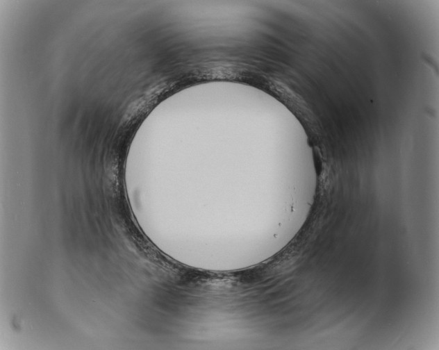 X0000102230306200808221314