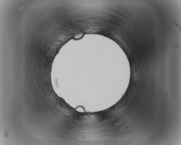 X0000102230307200808221314