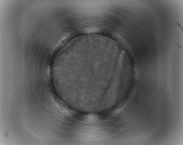 X0000102230308200808221314