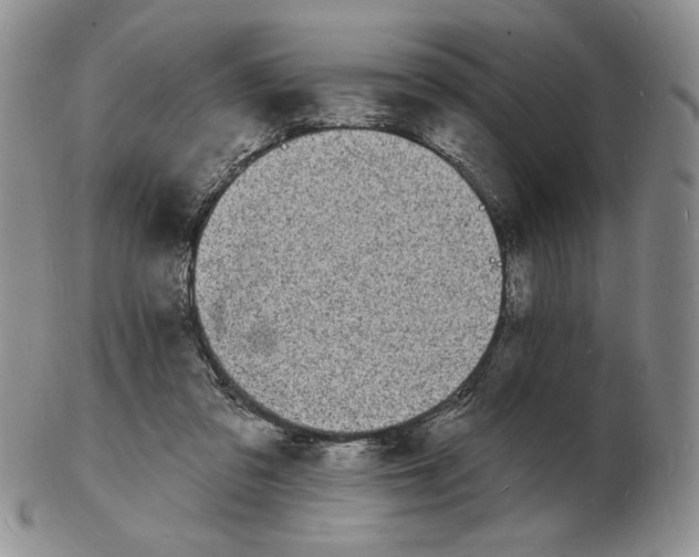 X0000102230309200808221314