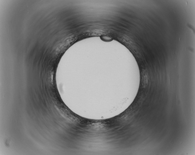 X0000102230310200808221314