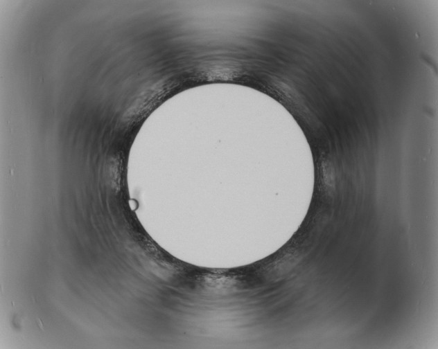 X0000102230311200808221314