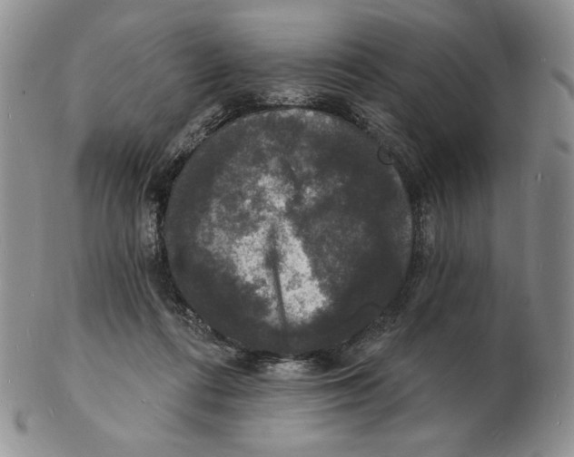 X0000102230312200808221314