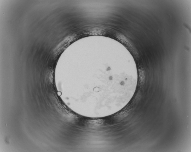 X0000102230313200808221314