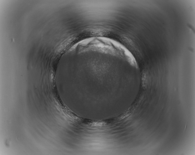X0000102230314200808221314