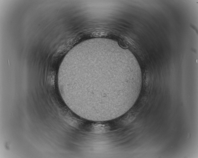 X0000102230315200808221314