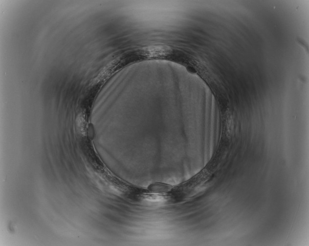 X0000102230316200808221314