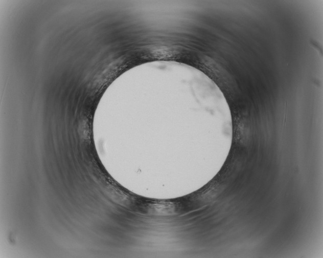X0000102230317200808221314