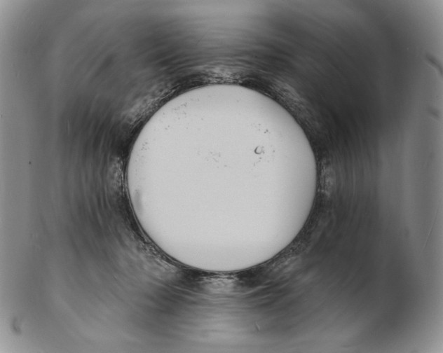 X0000102230318200808221314