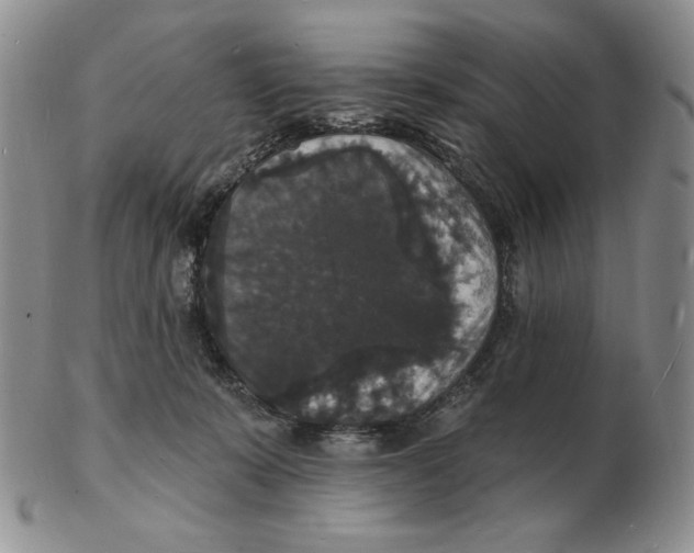 X0000102230319200808221314