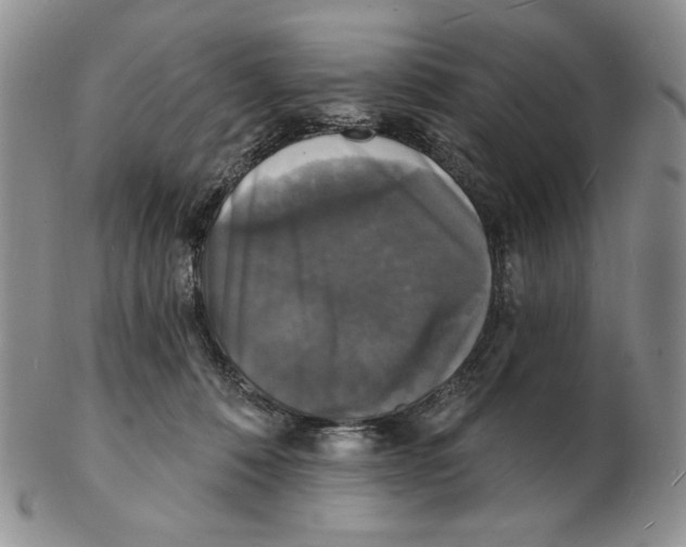 X0000102230320200808221314