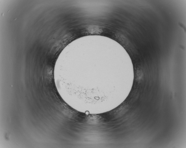 X0000102230321200808221314
