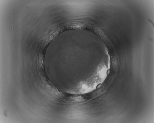X0000102230322200808221314