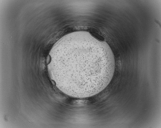X0000102230323200808221314