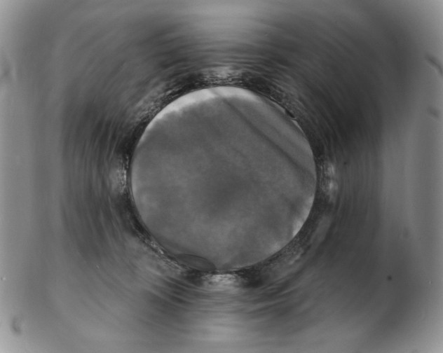 X0000102230324200808221314