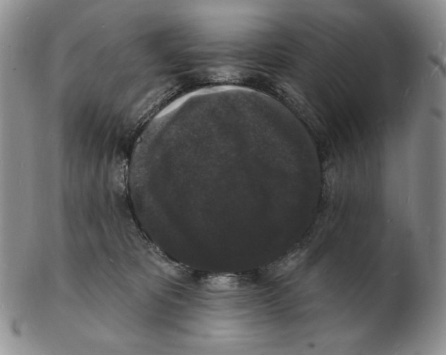 X0000102230325200808221314