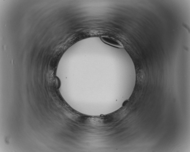 X0000102230327200808221314